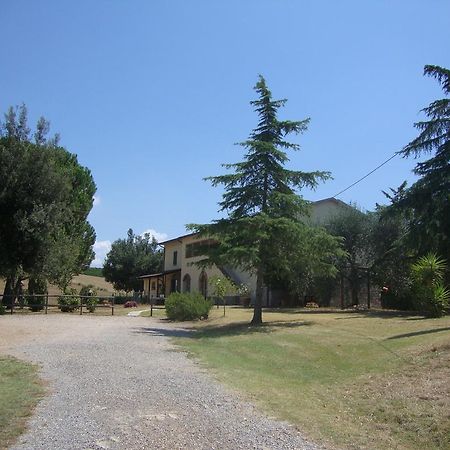 Agriturismo Podere Selvette カンパニャーティコ エクステリア 写真