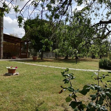 Agriturismo Podere Selvette カンパニャーティコ エクステリア 写真