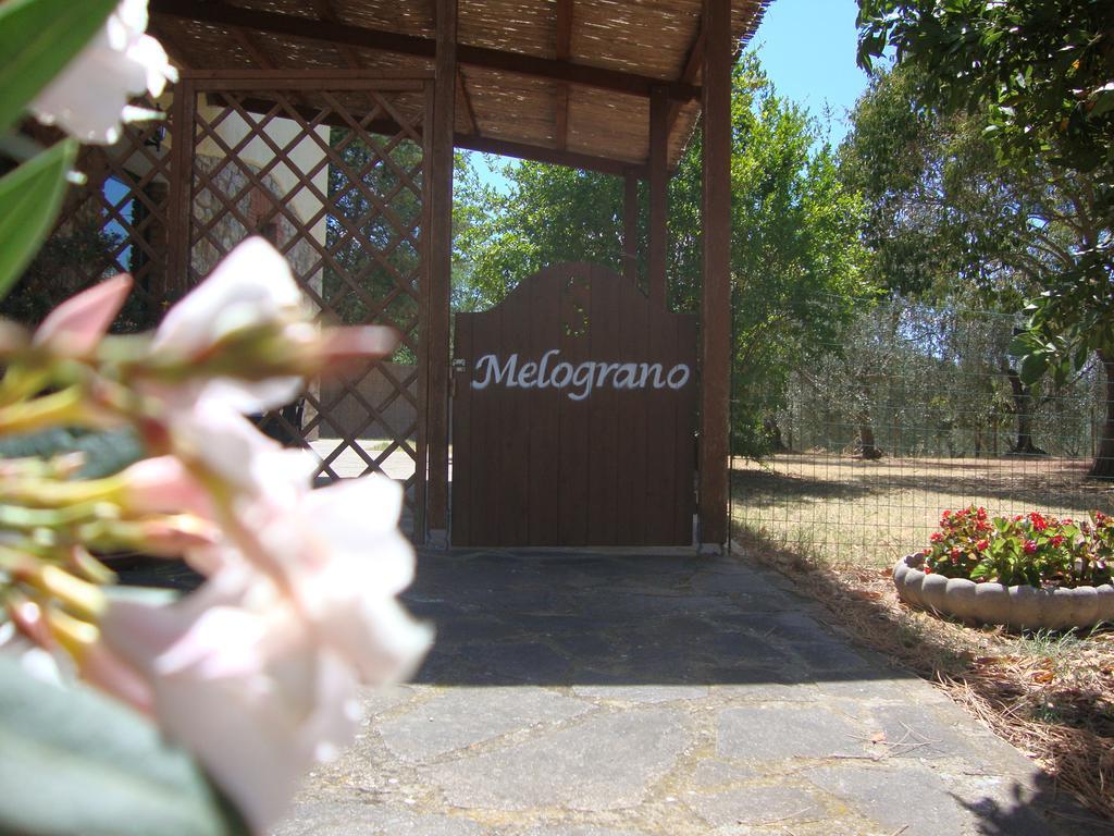 Agriturismo Podere Selvette カンパニャーティコ エクステリア 写真