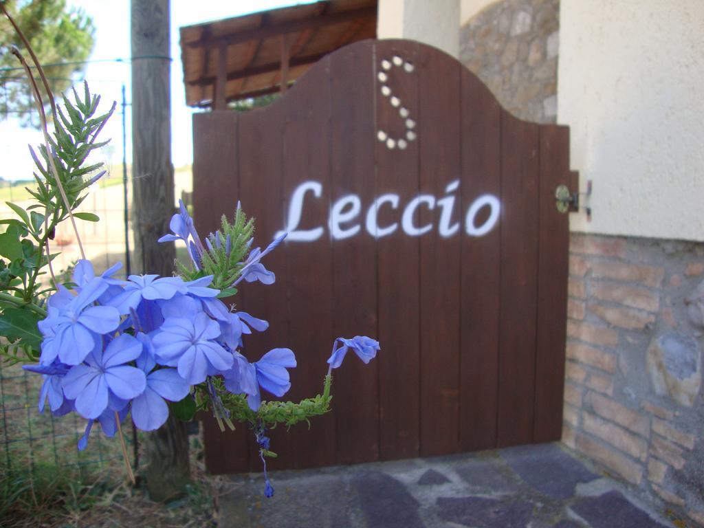 Agriturismo Podere Selvette カンパニャーティコ エクステリア 写真