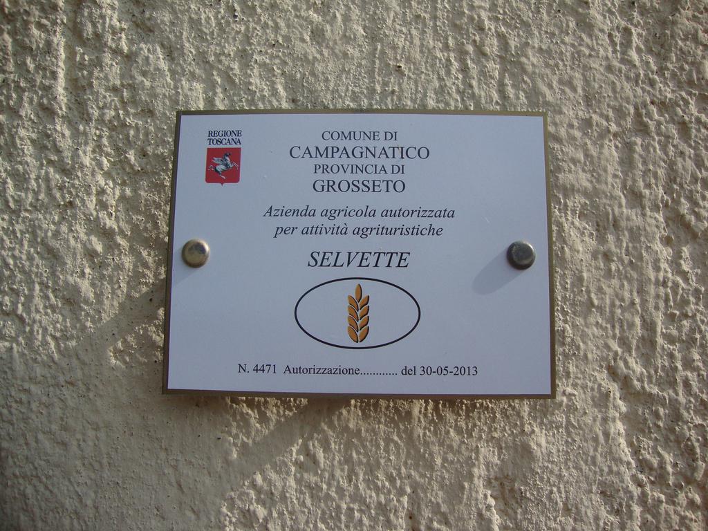 Agriturismo Podere Selvette カンパニャーティコ エクステリア 写真
