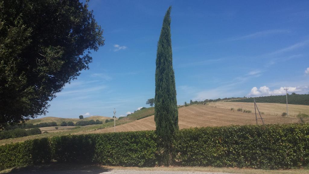 Agriturismo Podere Selvette カンパニャーティコ エクステリア 写真