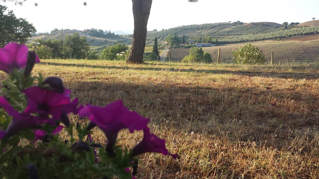 Agriturismo Podere Selvette カンパニャーティコ エクステリア 写真