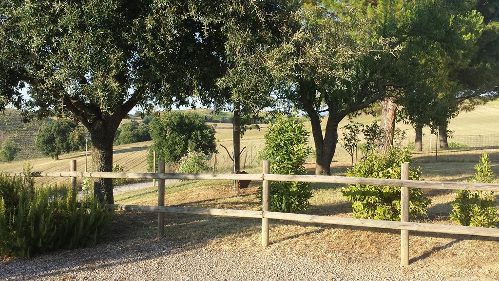 Agriturismo Podere Selvette カンパニャーティコ エクステリア 写真