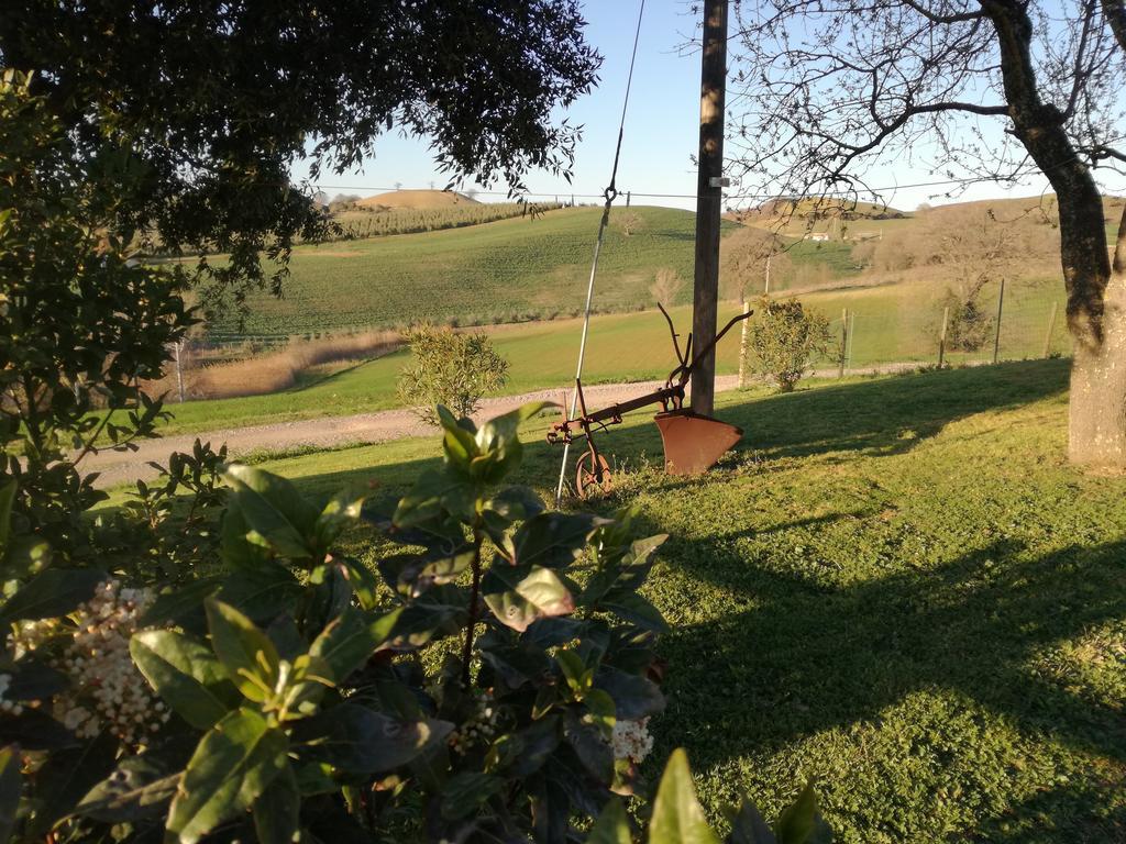 Agriturismo Podere Selvette カンパニャーティコ エクステリア 写真