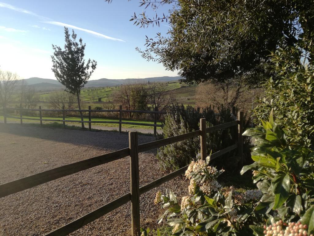Agriturismo Podere Selvette カンパニャーティコ エクステリア 写真